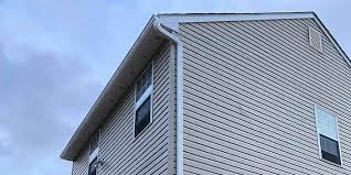 Best Custom Siding Design  in Merriam, KS